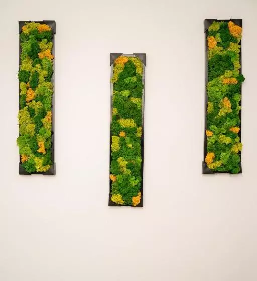 Apartament Panoramic La Casa In Comuna Rasinari