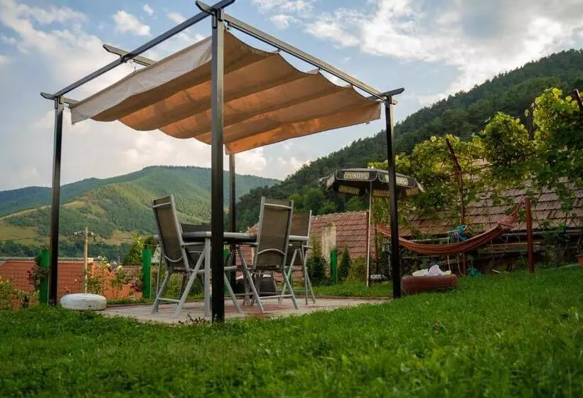 Apartament Panoramic La Casa In Comuna Rasinari