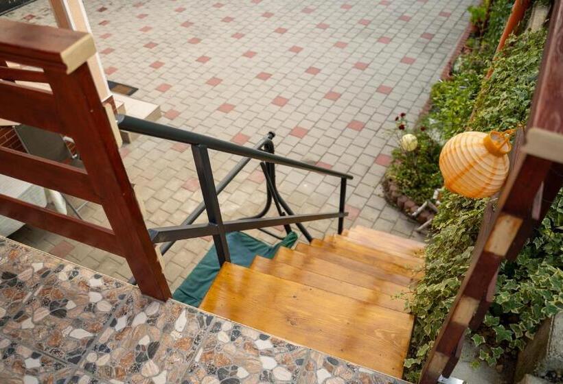 Apartament Panoramic La Casa In Comuna Rasinari