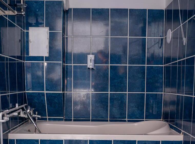 Apartament Panoramic La Casa In Comuna Rasinari