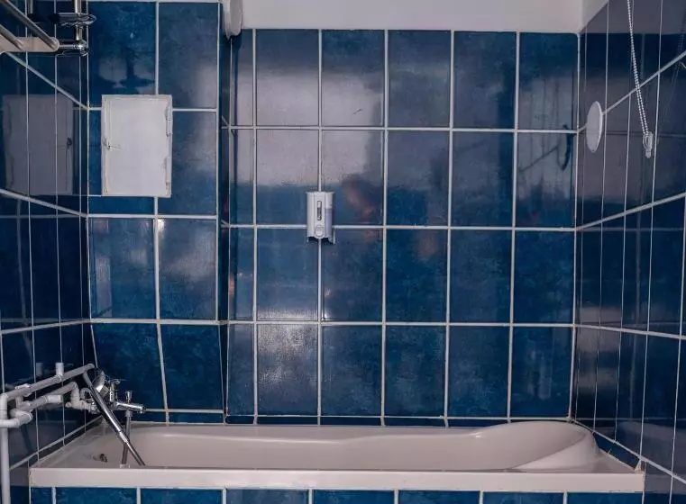 Apartament Panoramic La Casa In Comuna Rasinari