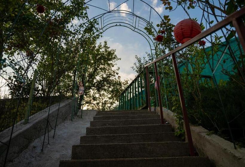 Apartament Panoramic La Casa In Comuna Rasinari