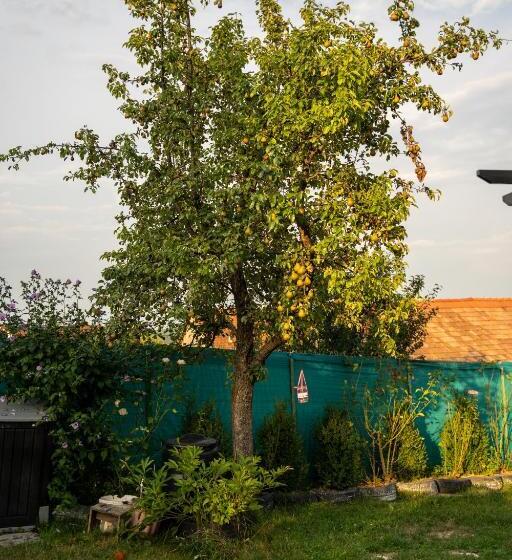 Apartament Panoramic La Casa In Comuna Rasinari