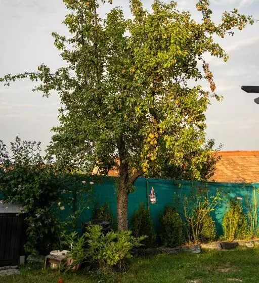 Apartament Panoramic La Casa In Comuna Rasinari