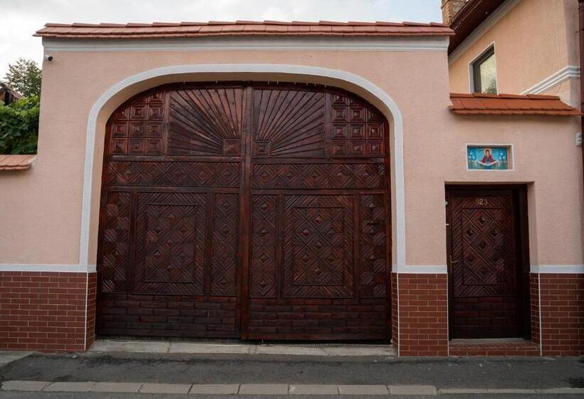 Apartament Panoramic La Casa In Comuna Rasinari