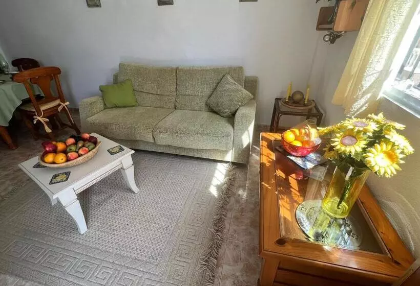 Apartment Elaine La Zenia