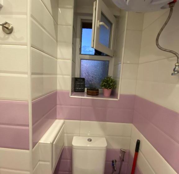 Cozy Apartment In Downtown Sofia   Tsar Samuil Street