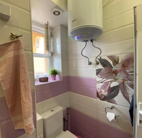 Cozy Apartment In Downtown Sofia   Tsar Samuil Street