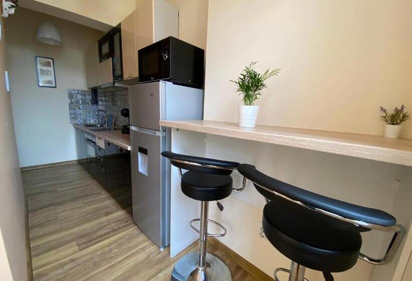 Cozy Apartment In Downtown Sofia   Tsar Samuil Street