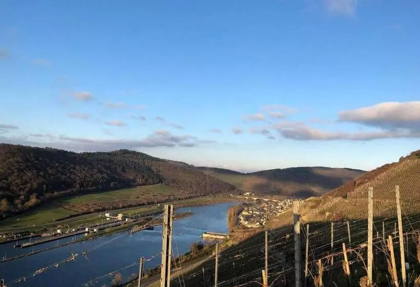 Gemütliches Studio Rosenburgblick In Moselnähe