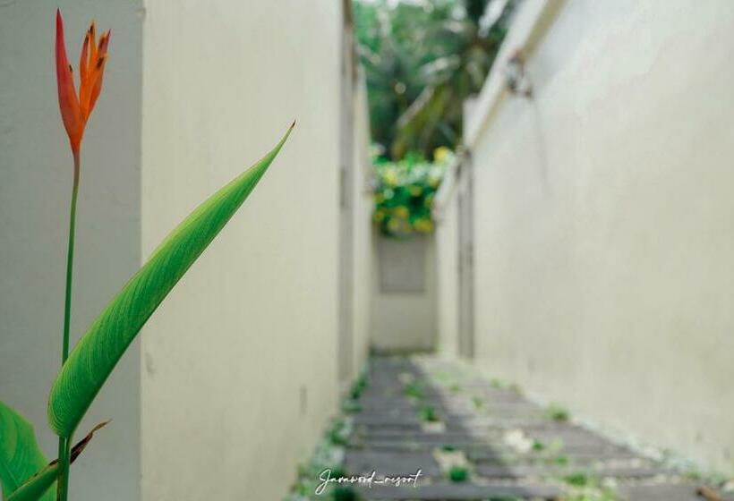 בית מלון כפרי Java Wood