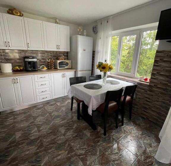 Pensiunea Dragoș Vodă Breb