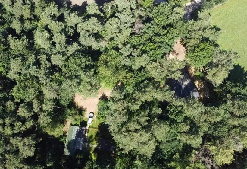 Vakantiewoning De Kleine Duinberg   Chalet Nr 9