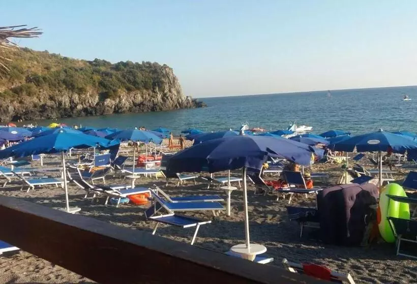 B&b L Ulivo