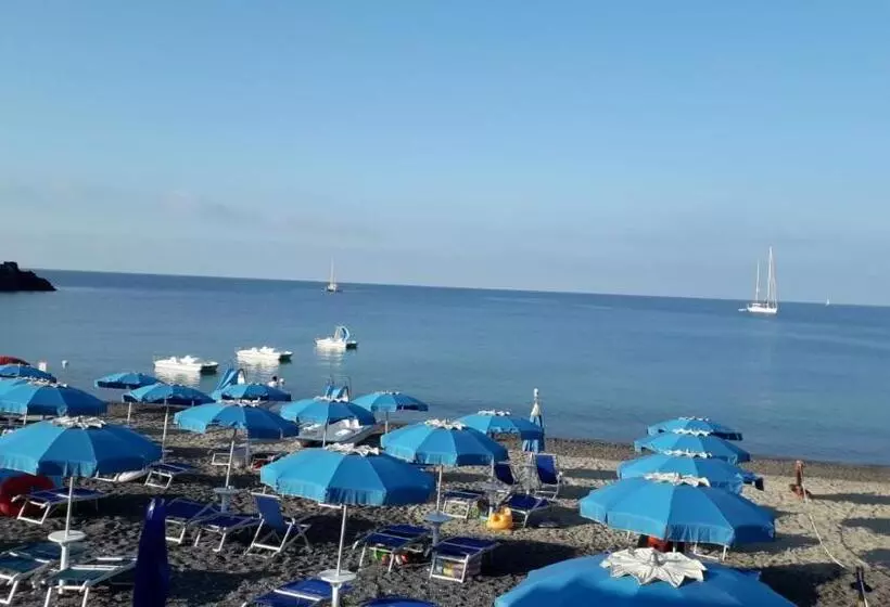 B&b L Ulivo