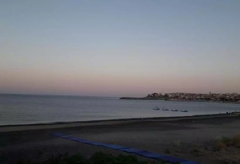 B&b L Ulivo
