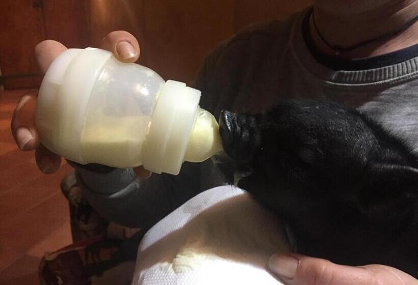 ベッドアンドブレックファースト Cantina Del Casale