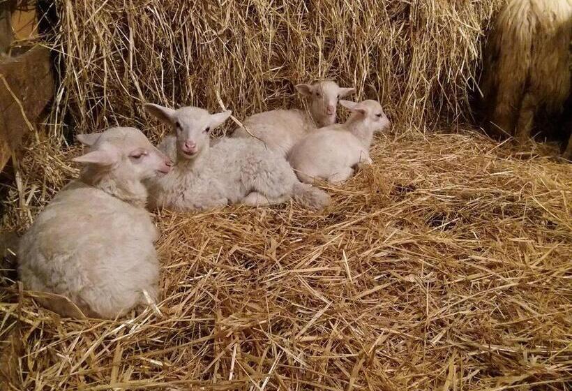 צימר La Minditta