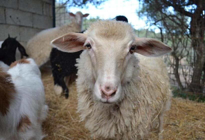 צימר La Minditta