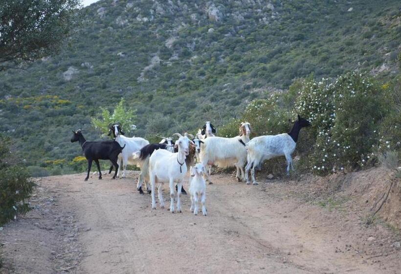 צימר La Minditta