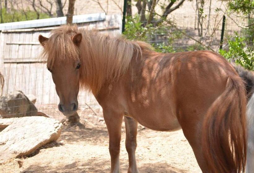 צימר La Minditta