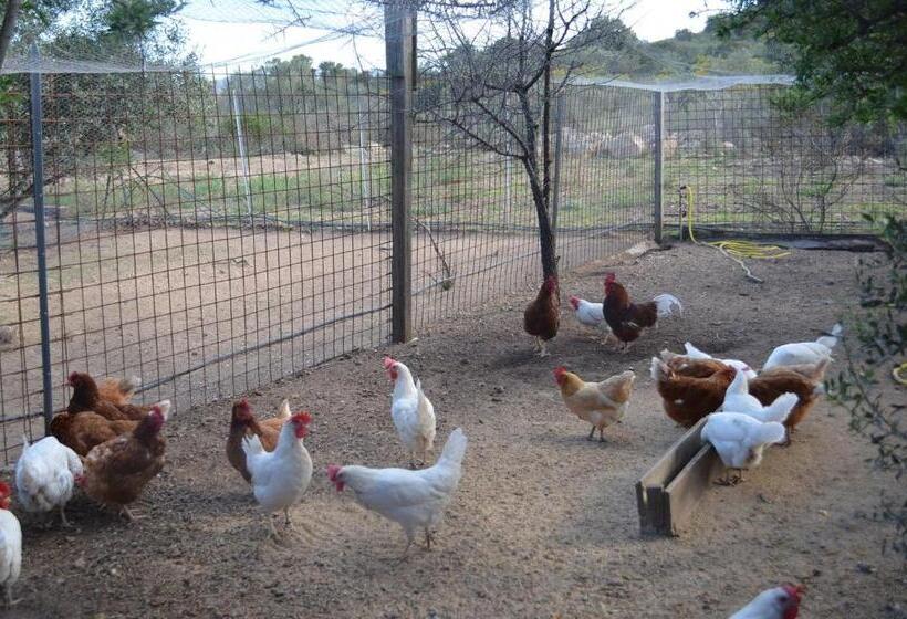 צימר La Minditta