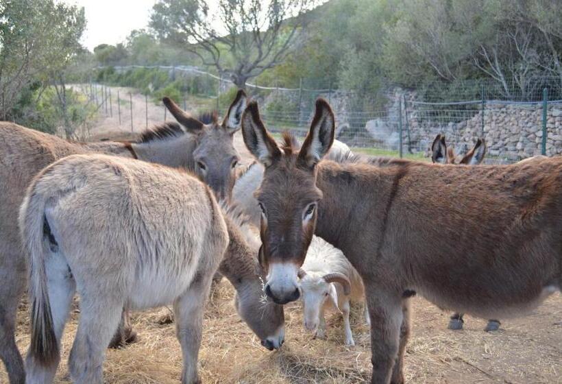 צימר La Minditta