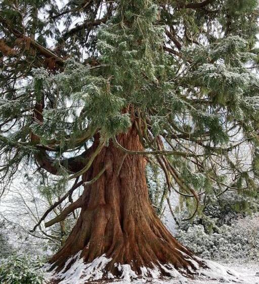 Cosy Holiday Cottage In Crickhowell