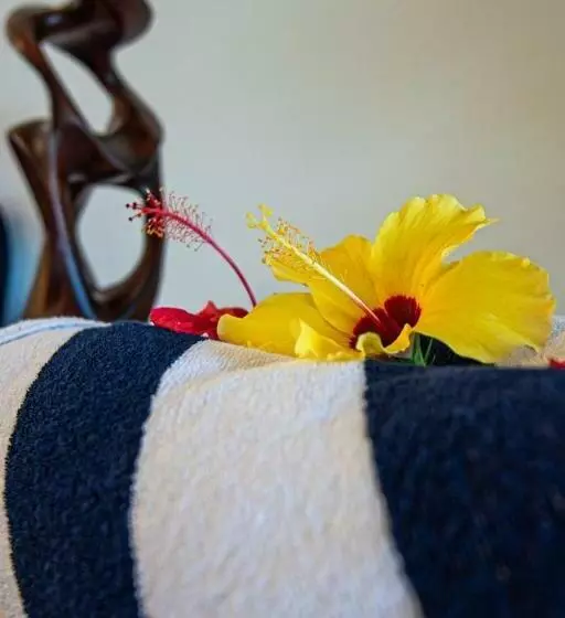 Hotelli Casa Canoa Camocim