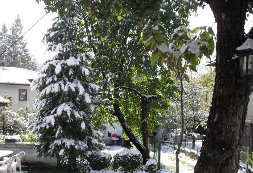 פנסיון Borimechkova Kashta