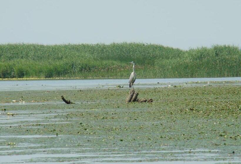 Пансион Kitti Vendégház