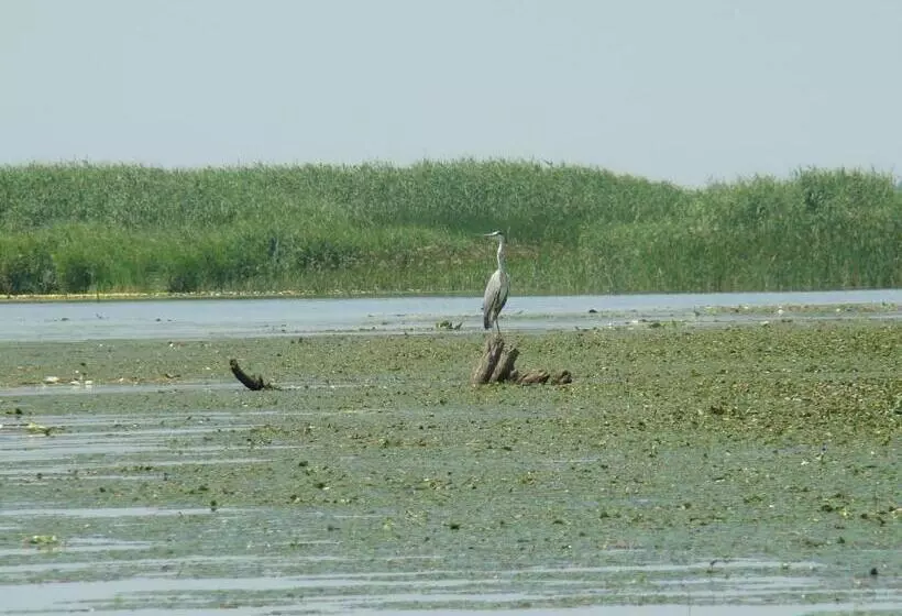 Majatalo Kitti Vendégház