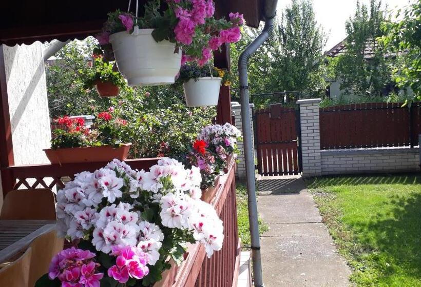 Пансион Kitti Vendégház