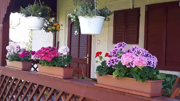 Majatalo Kitti Vendégház