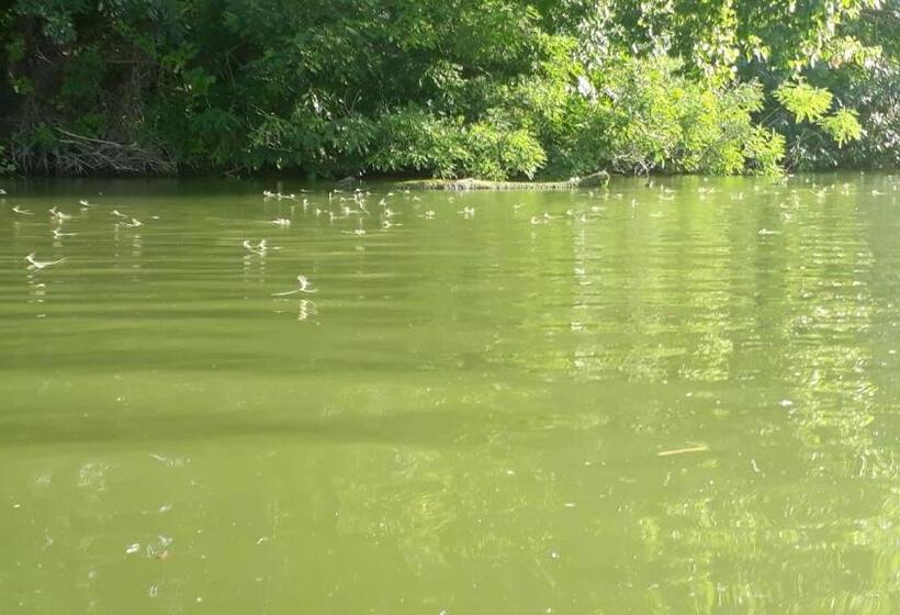 Пансион Kitti Vendégház