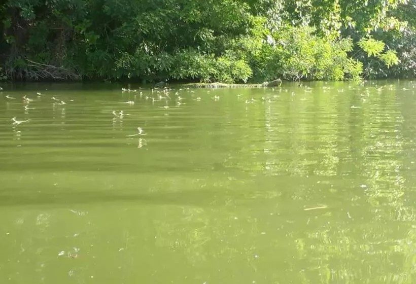 Majatalo Kitti Vendégház