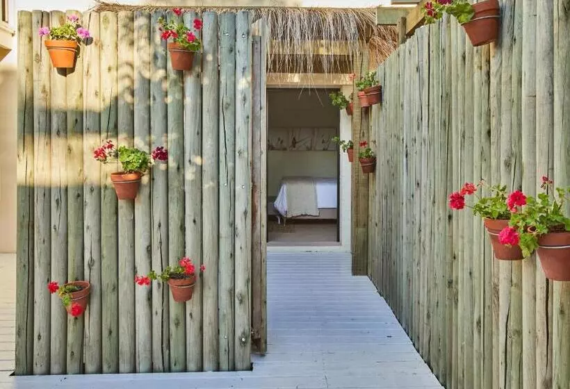 ユースホステル Posada Tamarindo