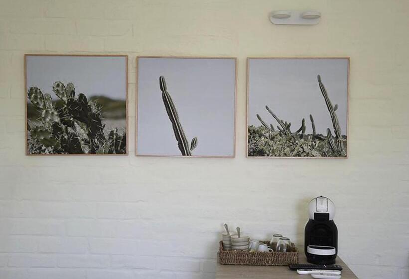 Herberge Posada Tamarindo