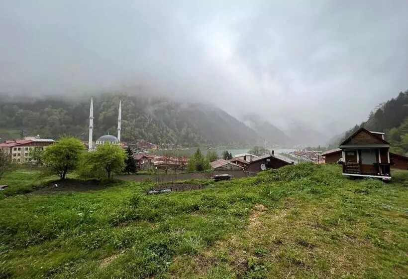 ホテル Cerrahpaşa Sui̇te