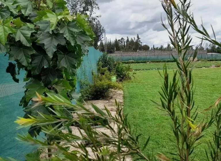 هتل Rafiki House
