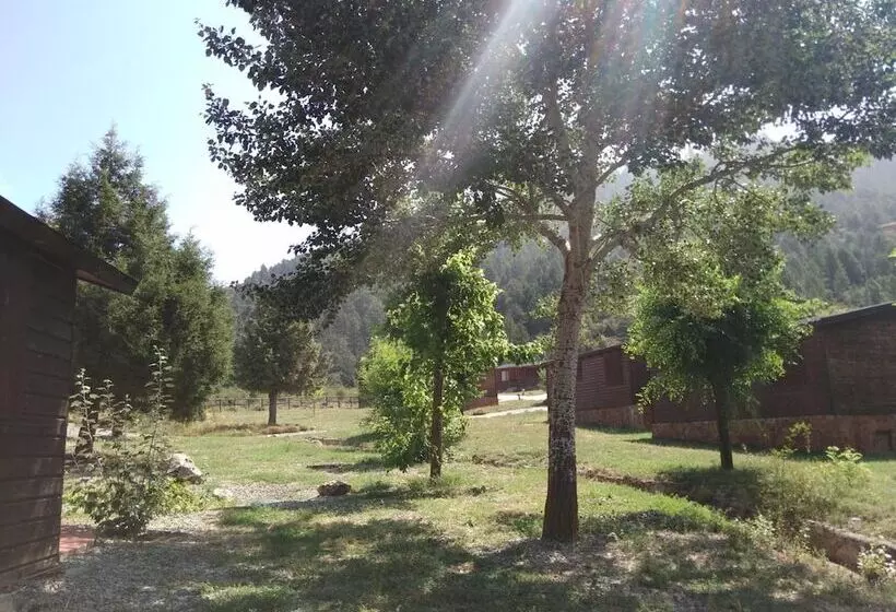 Cabañas De Javalambre