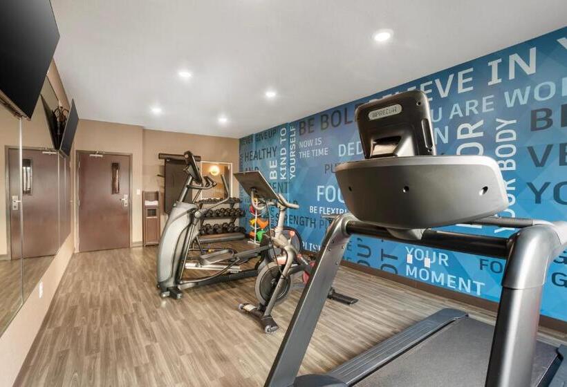 בית מלון כפרי Best Western Plus Columbia Inn