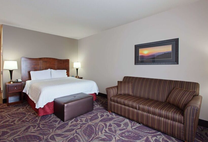 酒店 Hampton Inn Seattle/everett