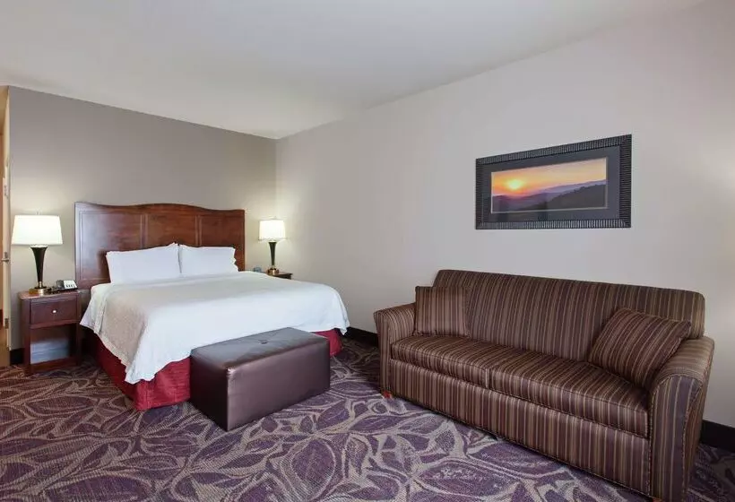 ホテル Hampton Inn Seattle/everett