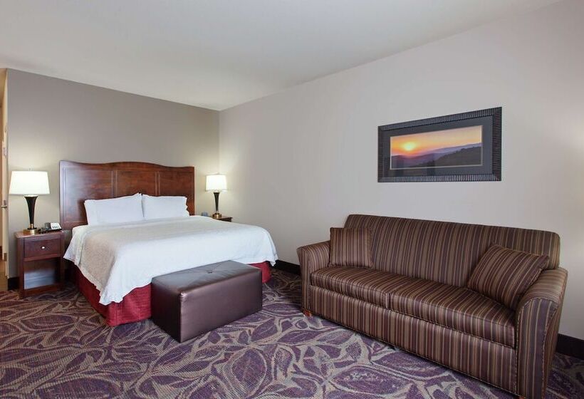 酒店 Hampton Inn Seattle/everett