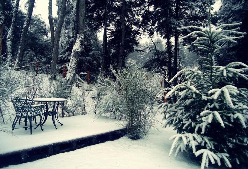 酒店 Hosteria Patagon