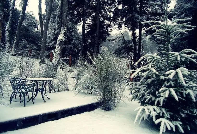 酒店 Hosteria Patagon