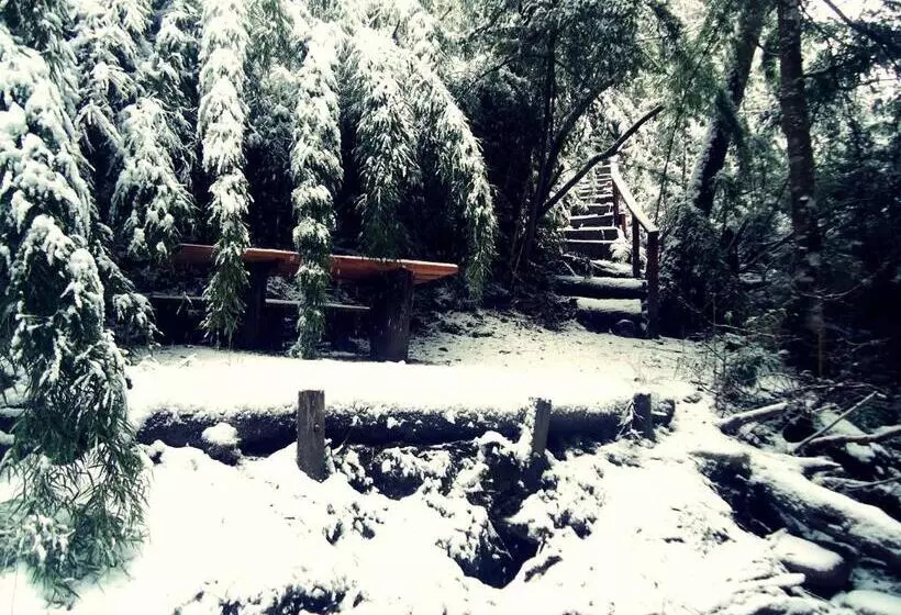 酒店 Hosteria Patagon