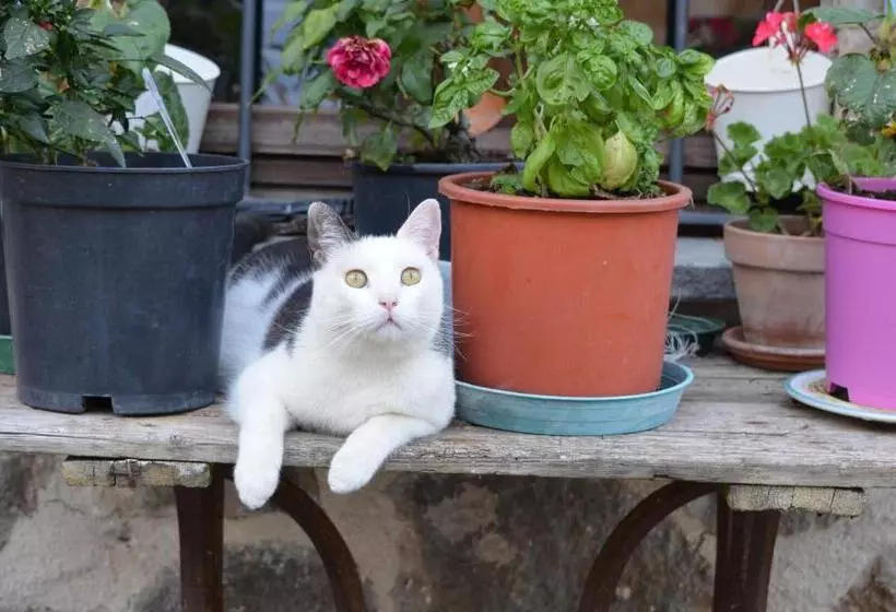 هتل Podere Delle Rose