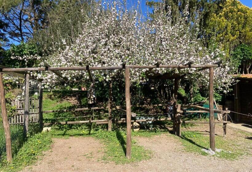 ホテル Podere Delle Rose